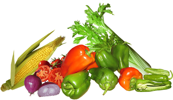 Agronil fresh produce selection – Egyptian potatoes, onions, fruits and vegetables for export
