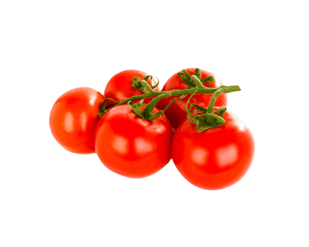 Tomatoes – fresh export quality from Agronil